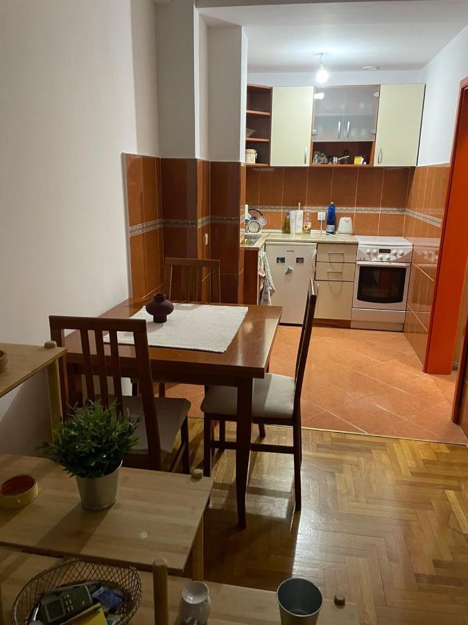 Apartman Sasa بودغوريتْسا المظهر الخارجي الصورة